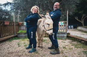 Agricola Baldo e Riccia - Centro IAA per Pet Therapy - Fattoria e Agriturismo Perugia